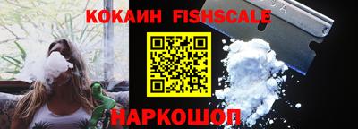 индика Пенза