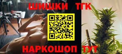 индика Пенза