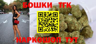 индика Пенза