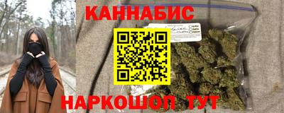 индика Пенза