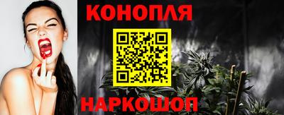 индика Пенза