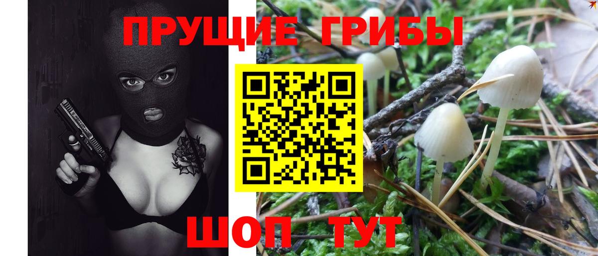 Галлюциногенные грибы Cubensis  Вход с VPN  Галлюциногенные грибы GOLDEN TEACHER  Ртищево 